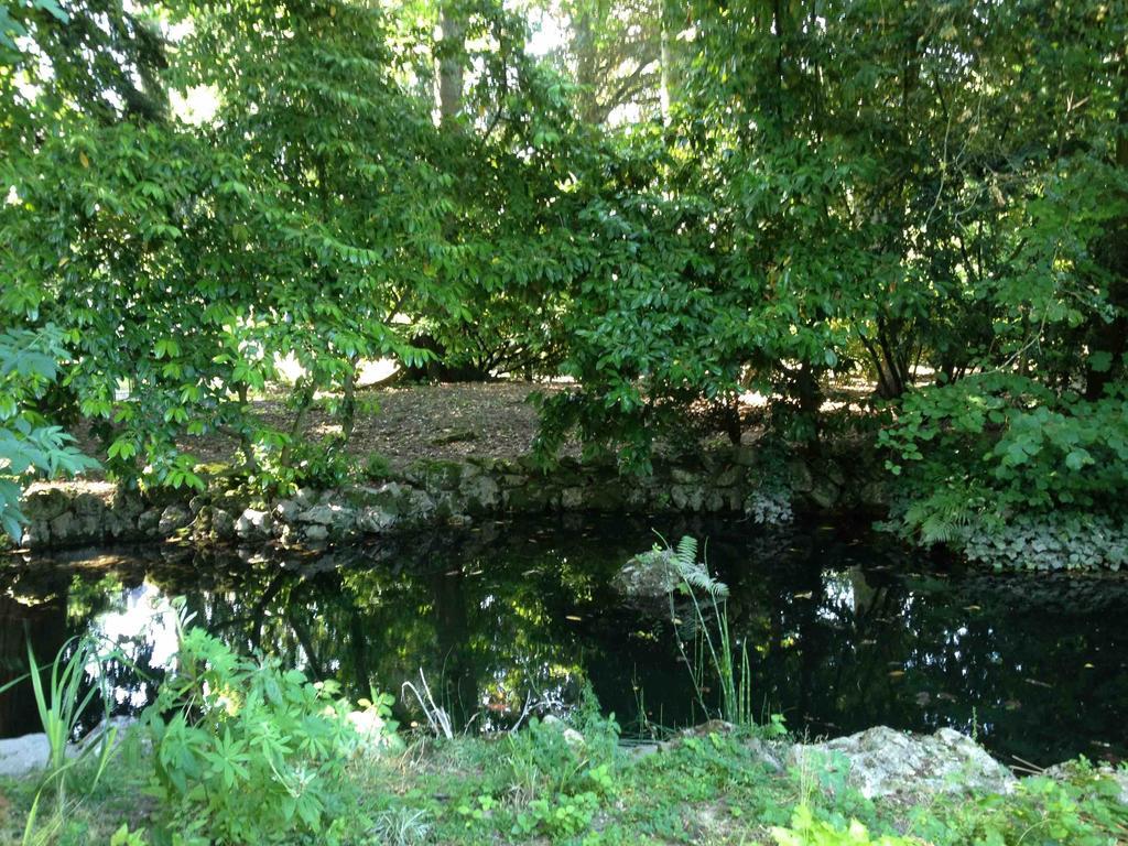 Chambre D'Hotes Les Rives De La Tronne Mer Dış mekan fotoğraf